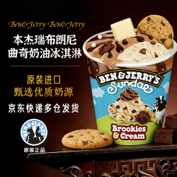 BEN&JERRY'S BEN & JERRY'S 本杰瑞进口冰淇淋 1桶