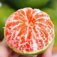 京鲜生 云南青皮蜜桔 净重4.5斤 单果55mm+
