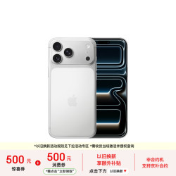 Apple iPhone 17 Pro Max 5G手机 512GB 银色
