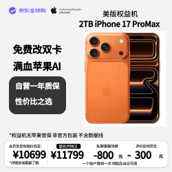Apple 17 Pro Max 橙色 2TB 5G手机