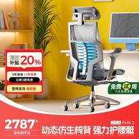 Ergonor 智能 人体工学椅 联动扶手  银白美国网(云感科技座垫) 转椅