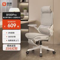 西昊 久坐舒适 人体工学椅  B100Pro 弹弓骶枕+4D扶手 带脚踏