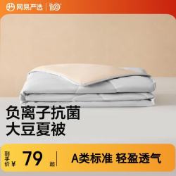 网易严选 大豆被A类抗菌10%大豆纤维被夏凉被夏季空调被单双人可机洗被子 云杉灰-夏被 150*200cm（适合1.2m/1.5m床）