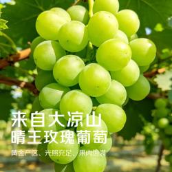 勿语 阳光玫瑰葡萄 净重4斤 新鲜水果