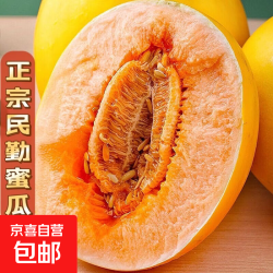 京喜自营-专用品牌 正宗民勤蜜瓜黄河蜜瓜甜瓜香甜多汁沙漠蜜瓜新鲜现摘 民勤蜜瓜净重1.5-2斤(1个装)