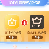 爱奇艺 黄金会员年卡+京东年卡+99小时雷神加速器