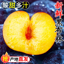 农果淳 黑布林水果李子正宗新鲜应季现摘酸甜脆李黑宝石黄肉李子整箱包邮