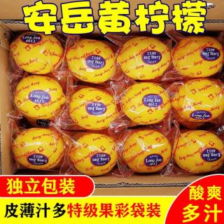 忆京源 四川安岳黄柠檬 现摘新鲜水果皮薄多汁今年新果一级鲜柠檬泡水 1斤中果尝鲜