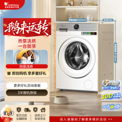 SWAN 小天鹅新品 TDH12E700 月辉银 1.15洗净比