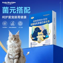 cuteGlutton布拉迪益生菌猫咪专用宠物猫狗乳铁蛋白调理肠胃改善