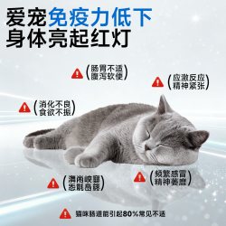 cuteglutton猫狗专用宠物益生菌乳铁蛋白调理肠胃改善营养补充剂