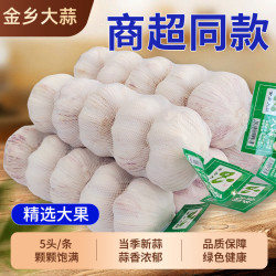 金乡大蒜 5条25头装 含箱净重1250g+