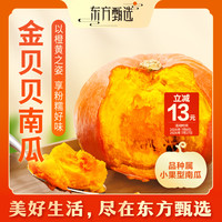 东方甄选 自营金贝贝南瓜新鲜蔬菜坏果包赔