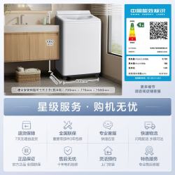 Panasonic 泡沫净 XQB120-U2A1 波轮洗衣机 12公斤