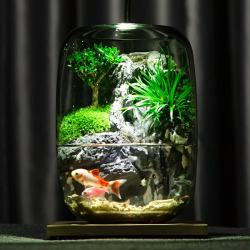 艾格辰 水云谣生态瓶养鱼微景