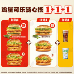 汉堡王 双层鸡堡随心搭三件套