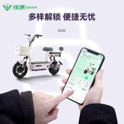 绿源 48V20Ah铅酸电池 新国标电动自行车