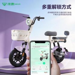 绿源 48V20Ah铅酸电池 新国标电动自行车
