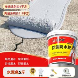 沃特浦 FLFSJ 屋顶防水涂料 5斤 哑光