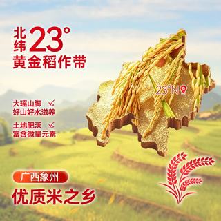靓虾王 香软米 南方籼米长粒米 300g*8袋 大米