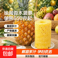 京喜 广东 徐闻 香水菠萝 4.5-5斤 单果650g起
