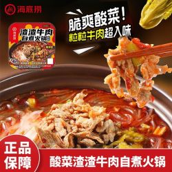 海底捞 自热小火锅 渣渣牛肉 242g 酸辣方便速食
