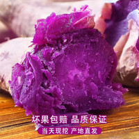 鲁禧海岸 紫罗兰薯-净重4.5斤单果150g+