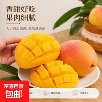 四川攀枝花凯特芒新鲜当季核薄肉厚青黄皮汁水饱满水果整箱包邮 带箱10斤净重9.5斤单果400g