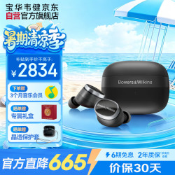 宝华韦健 Pi8 入耳式真无线蓝牙耳机 曜石黑