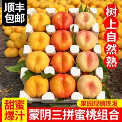 升阳农场 蒙阴彩虹蟠桃 4.5斤 单果125g+ 黄毛蟠桃