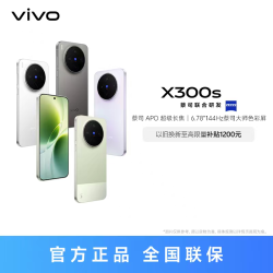 vivo X300s 5G智能手机 超能小V单