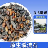 科万鸿 小白石子多肉铺面石头养花鹅卵石雨花石鱼缸造景盆栽 今日特价：买3送2
