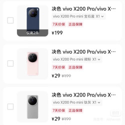 vivo x200pro mini 决色手机壳 手机官方商城