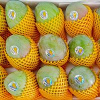 OLOEY 攀枝花 凯特芒 4.5斤装 特大果 单果400-600克+