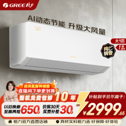 格力 云锦Pro系列 KFR-26GW/NhMb1BG 新一级能效 壁挂式空调 大1匹