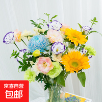 青花瓷牡丹菊1枝+绿心向日葵2枝+绿康3+ 香槟桔梗1+紫边桔梗1+大香槟小菊1+九星叶3