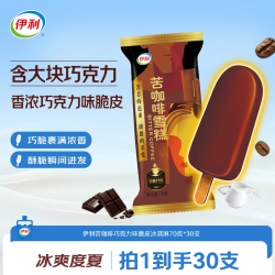 伊利 苦咖啡冰淇淋70g*30支