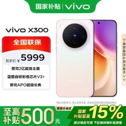 vivo X300 5G 手机 幸运彩 16GB 512GB