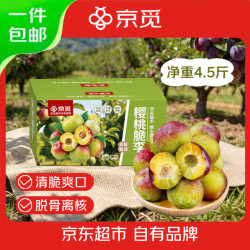 京觅 湖北青红脆李净重4.5斤 单果20g+李子水果源头直发包邮