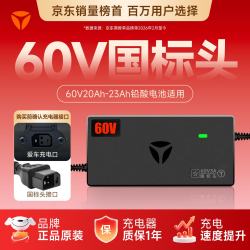 雅迪 铅酸充电器 100142463594 60V3A 国标口