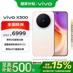 vivo X300 16+1T 幸运彩  蓝晶x天玑9500 6040mAh蓝海电池 蔡司2亿超级主摄 手机