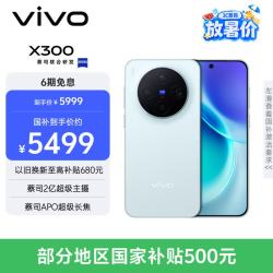 vivo X300 16GB 512GB 自在蓝 蔡司2亿超级主摄 蔡司APO超级长焦 5年持久流畅