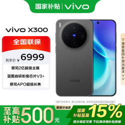 vivo X300 16 1T 纯粹黑  蓝晶x天玑9500 6040mAh蓝海电池 蔡司2