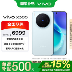vivo X300 16 1T 自在蓝  蓝晶x天玑9500 6040mAh蓝海电池 蔡司2
