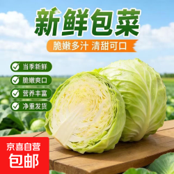 国产 自种老品种卷心菜 8斤净重