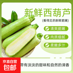 京东配送 山东农家自种新鲜西葫芦 5.7斤 净重 带箱6斤
