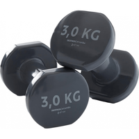 迪卡侬 Halteres Pvc 包胶哑铃 3kg*2只