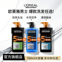 欧莱雅 去屑洗发露活泉劲爽洗头双支洗发水清爽水润去屑止痒
