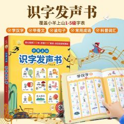 识字发声书 3-6岁儿童绘本幼儿宝宝认字有声书早教启蒙玩具礼物 青葫芦 点读书 发声书
