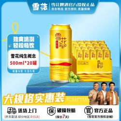 雪花 SNOW）概念纯生啤酒500ml*20罐麦香醇厚啤酒整箱装京东自营